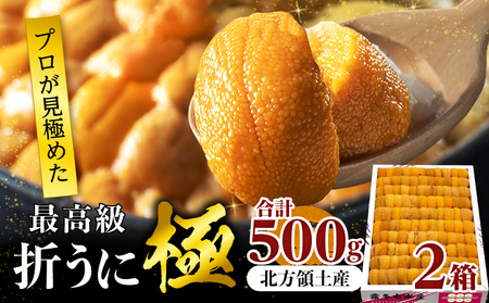 ≪プロ厳選≫最高級折うに(極)計500g うに ウニ 雲丹 折うに 海鮮 海産物 北海道 浜中町 ふるさと納税 人気_H0014-101