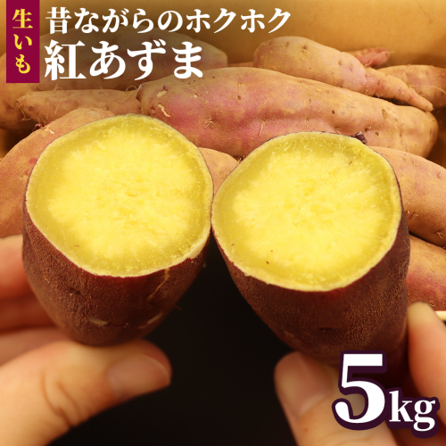 さつまいも 【 紅あずま 】 5kg 国産 農園 野菜 サツマイモ 芋 生いも 生芋 ベニアズマ 期間限定 甘さ控えめ ホクホク お菓子作り 料理 煮物 味噌汁 ご飯