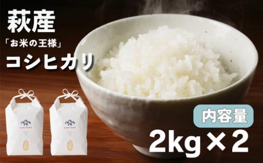 
            コシヒカリ 令和7年 2kg×2袋 セット 米 コメ こめ 萩産 KAMITAMA　｜HG000288
          