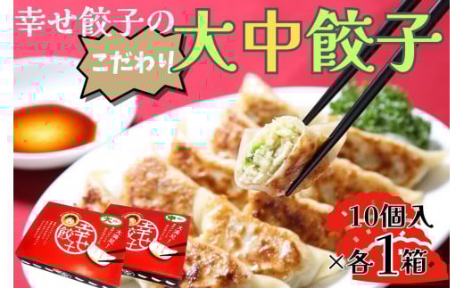 006-21-1幸せ餃子のボリューム満点こだわり大・中餃子（各1箱）/ ２サイズ 冷凍 食品 おかず 餃子 ギョウザ 手作り ジャンボ餃子 １０個入り ２箱 冷凍 食品 おかず  冷凍 食品 おかず 国産 国産野菜 高座豚 ぎょうざ  ギョーザ 餃子 冷凍餃子  焼き餃子 焼餃子 冷凍 冷凍食品 おかず 弁当 惣菜 おつまみ おやつ 時短  便利 焼くだけ お手軽 アレンジ 常備 食べ比べ