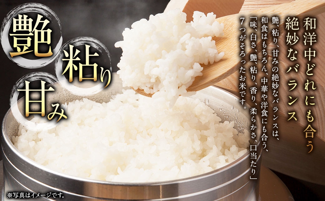 【 6回定期便 】 浦臼産ななつぼし 精白米 5kg