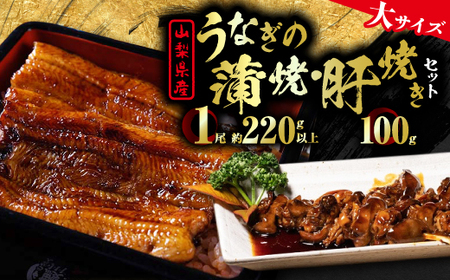 【大サイズ】山梨県産富士山脈の地下水うなぎ蒲焼1尾220g以上+100g肝焼きセット【配送不可地域：離島】【1566345】