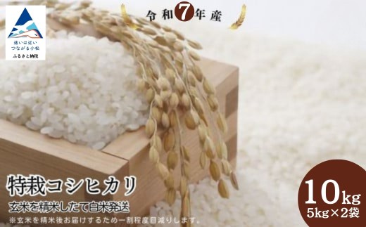 特栽コシヒカリ 精米 白米 （玄米10kgを精米したて白米発送）令和7年産 こしひかり | 石川県 小松市【のむら農産】