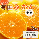 【ふるさと納税】【限定】 【2024年 先行予約】和歌山県産 有田みかん 小玉 3kg 訳あり