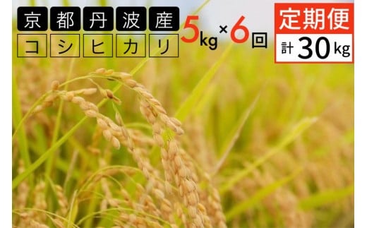 
            【12月末まで】京都丹波産 新米 こしひかり 精米 5kg 6ヶ月 定期便【JA京都たわわ朝霧】白米 米 お米 こめ コメ ライス ご飯 ごはん ふっくら つやつや おいしい 美味しい 贈り物 JA京都 たわわ朝霧 国産 コシヒカリ 仕送り 令和7年産米 産地直送 定期便米 米定期便 人気 おすすめ 5キロ 6カ月 6か月 6ヵ月 6ケ月
          