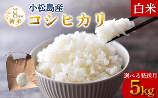 【令和8年産】【2026年12月発送】新米  コシヒカリ 5kg  米 白米 精米 こめ お米 産地直送  おすすめ 人気  ご飯 ごはん 小松島 コシヒカリ