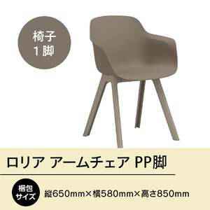 椅子 アダル ロリア アームチェア ウォームグレー PP脚 P3003-1WJ 椅子