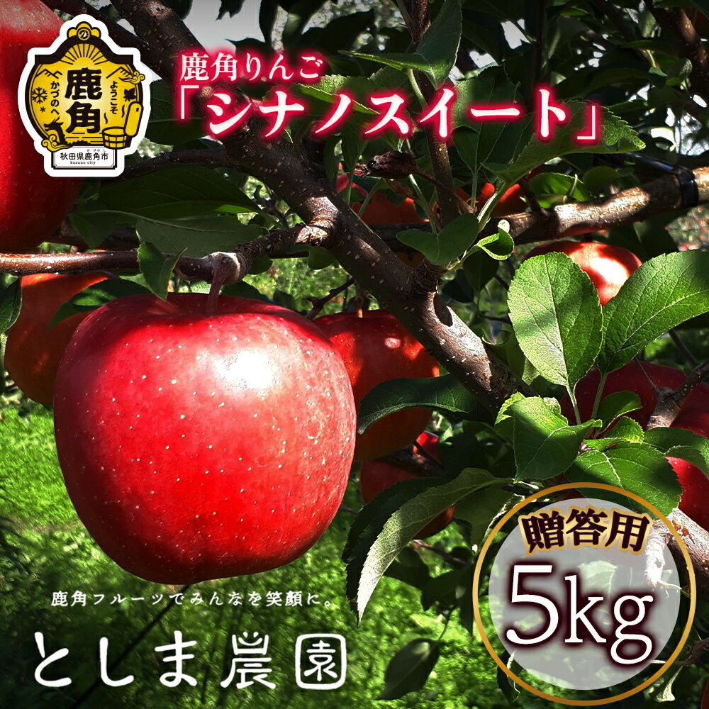 【ふるさと納税】《 先行予約 》 りんご シナノスイート 贈答用 約 5kg ( 12～20玉 ) リンゴ 完熟 旬 県産りんご お中元 お歳暮 贈り物 お見舞い グルメ ギフト 故郷 秋田 あきた 鹿角市 鹿角 送料無料 【としま農園】