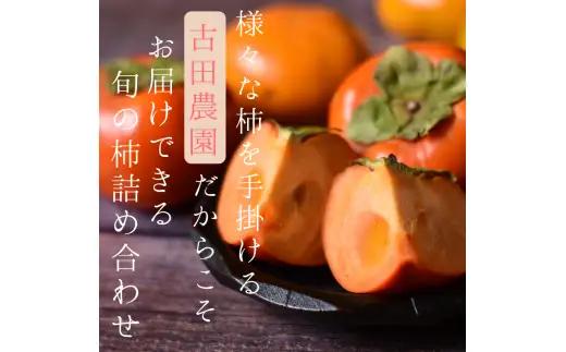 旬の 柿 詰め合わせ 2kg 特秀 / 詰め合わせ かき 2kg 甘い 太秋柿 紀ノ川柿 富有柿 早秋柿 珍しい 希少 和歌山産 ※2026年10月上旬～11月下旬に順次発送【frt504-p-tum