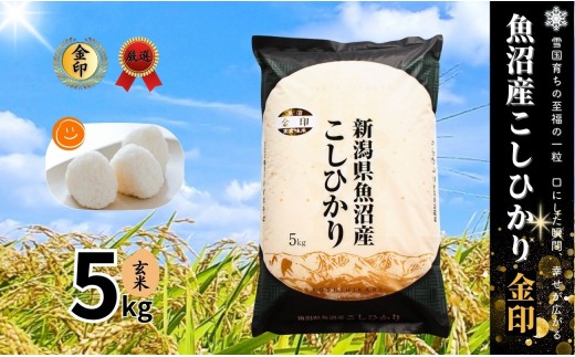 魚沼産コシヒカリ 玄米 高食味米 5kg(5kg×1袋) 令和7年産  金印 ( 一等米の中から厳選 ) |  新潟県産コシヒカリ お米 米 こしひかり 玄米 ブランド米  新潟県 津南町 有限会社イタバ