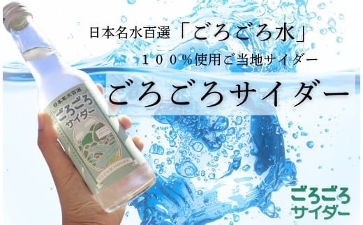 ごろごろサイダー 250ml×1箱（24本入）サイダー 飲料 ご当地サイダー 瓶サイダー ギフト お土産 プレゼント 贈答品 お礼の品 返礼品内祝い ご挨拶 なら 奈良県 奈良市 ftu01