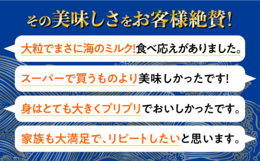 【3月31日（水）着】生牡蠣 殻付き 40個 江田島市／マルサ・やながわ水産有限会社[XBL009-058]