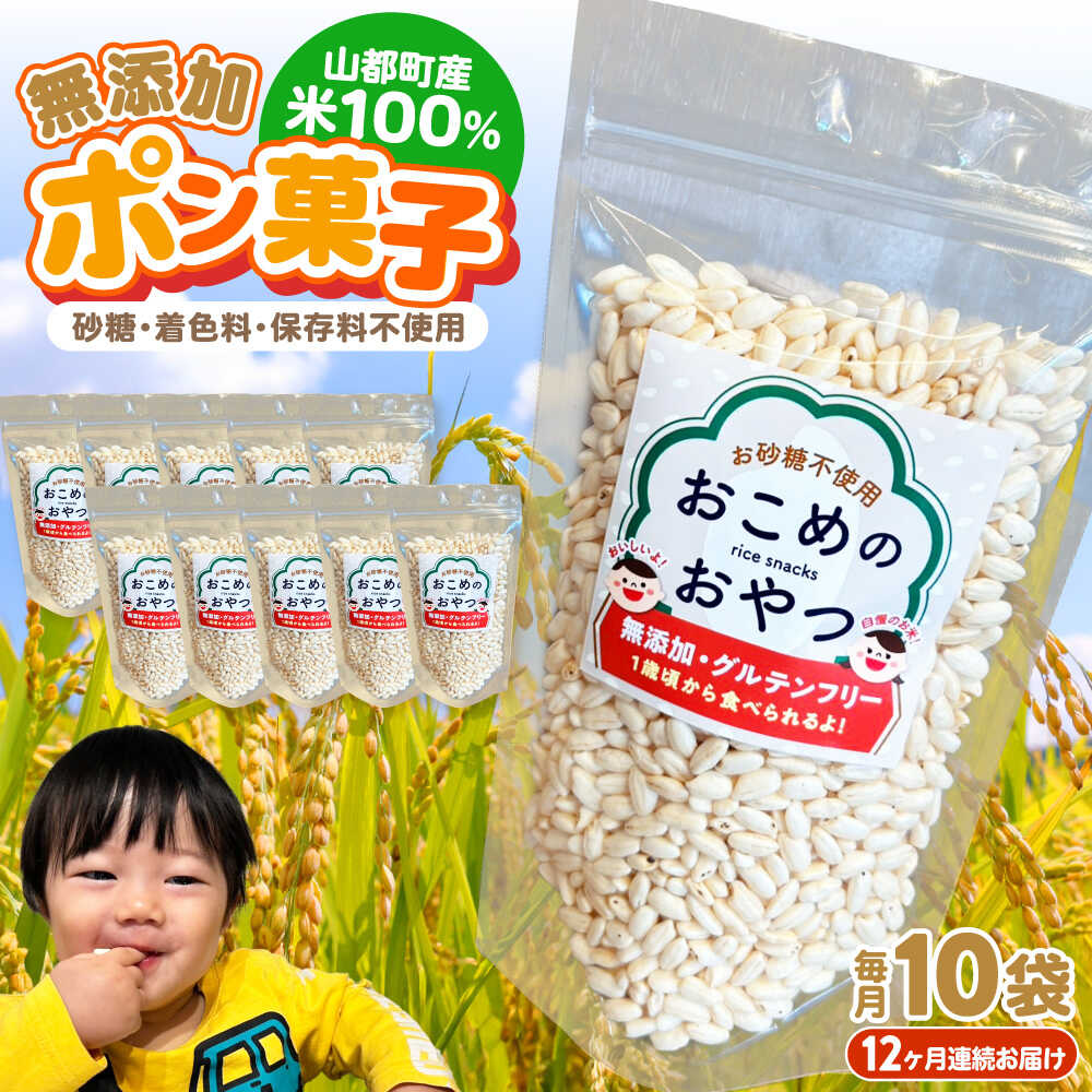 【ふるさと納税】【全12回定期便】おこめのおやつ 10袋セット【株式会社キゴコロ】[YDZ007]