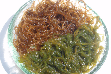 【期間限定】今が旬！天然漁場直送の新鮮食材　採れたて活モズク5kg（500g×10）沖縄県産 13-12