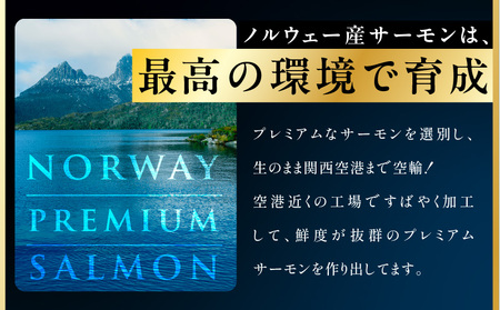 【定期便】ノルウェー産 プレミアム アトランティックサーモン 1kg 【2026年3月＆6月発送】