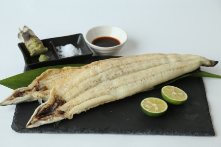 【愛知県三河一色産】活うなぎの白焼き 1尾（約150g） （10-71）