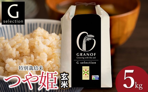 【令和8年産先行予約】 Gセレクション 特別栽培米 つや姫 5kg(5kg×1袋) 【玄米】 山形県鶴岡市産 精米 株式会社グラノフ