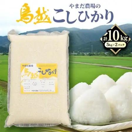 やまだ農場の鳥越こしひかり10kg(5kg×2パック)白米_ コシヒカリ 米 こしひかり_【1019156】