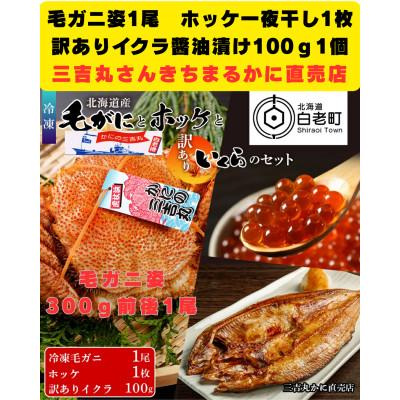 ふるさと納税 白老町 毛ガニ 冷凍 1尾 300g-340g前後・ホッケ1枚・訳ありイクラ100gセット