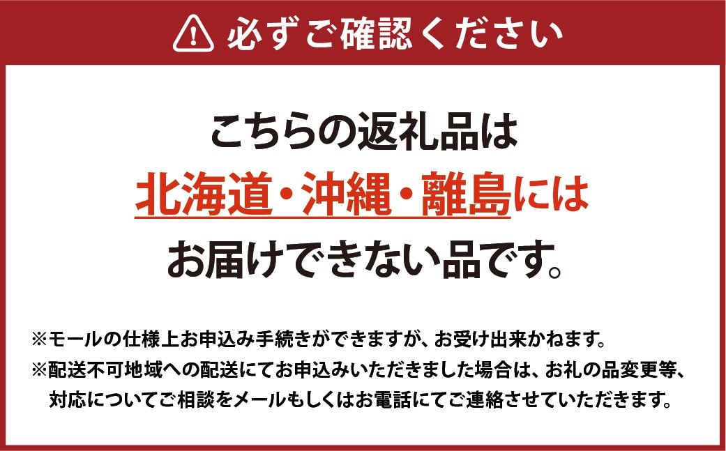 【Ortolano】ファーストクラスのサラダ＆ドレッシングセット A