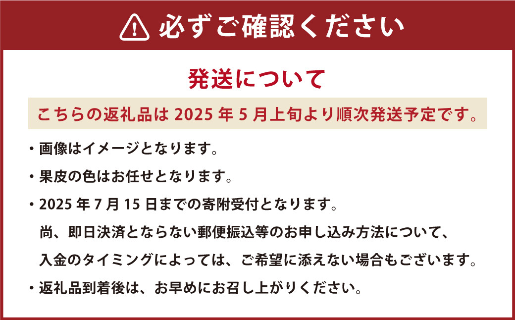 熊本県産 小玉スイカ 2玉