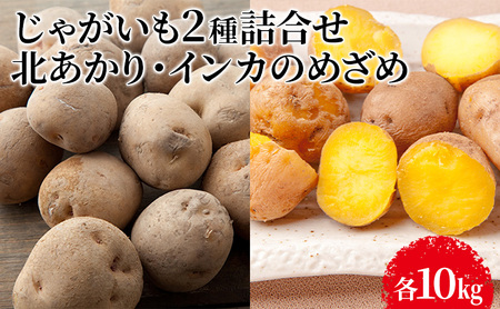 先行予約 じゃがいも2種 北あかり・インカのめざめ各10kg
