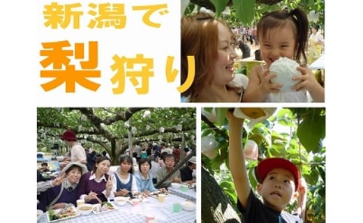 
                  小杉農園の旬の梨狩り体験 60分食べ放題2人分(お土産付) FC017108
                