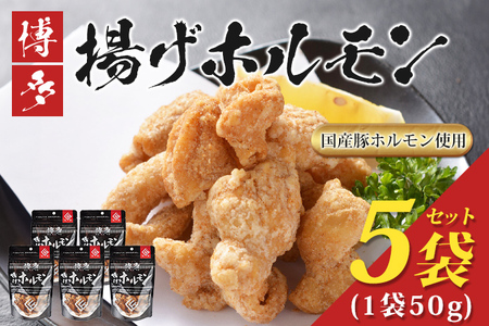 博多揚げホルモン(5袋セット) ホルモン 国産豚 唐揚げ おつまみ 送料無料