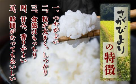 年内発送 12/25まで 特選米100%!令和7年産さがびより(精白米) 10kg 【D-686-V】