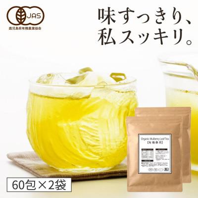 ふるさと納税 姶良市 有機桑茶120包セット