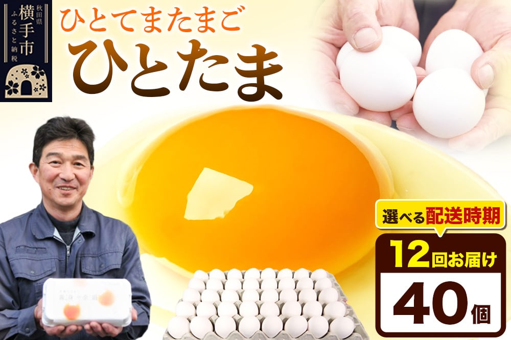 
            《定期便12ヶ月》ひとたま 40個（業務用）
          