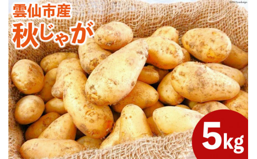 
【期間限定発送】 じゃがいも 雲仙市産 秋じゃが 5kg［北串 秋・冬収穫じゃがいも各種］ [トトノウ 長崎県 雲仙市 item1417] ジャガイモ 秋じゃがいも 野菜 5キロ 期間限定 長崎県産
