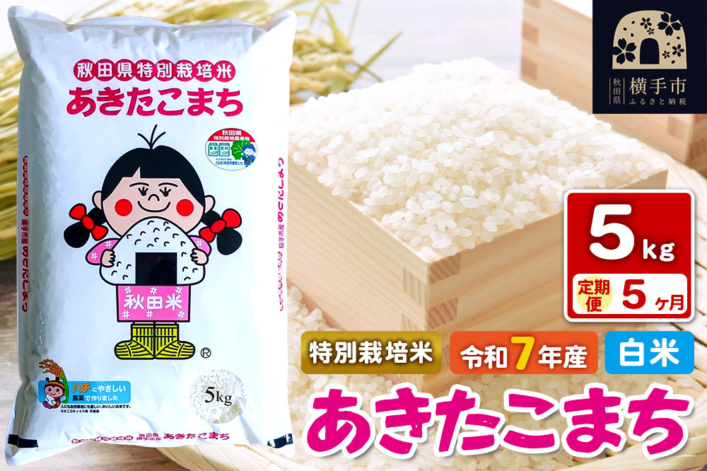 令和7年産【白米】《定期便5ヶ月》特別栽培米 あきたこまち 5kg 秋田県 横手市