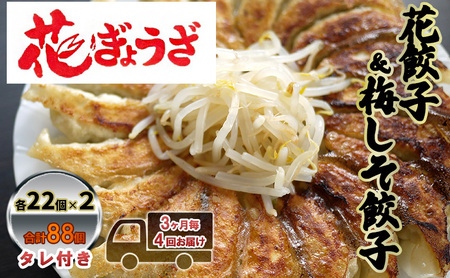 餃子 花餃子 梅しそ餃子 3ヶ月毎 4回お届け 餃子
