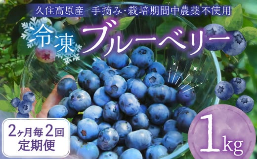 【2ヶ月毎2回 定期便】大分県久住高原産 『手摘みブルーベリー』 冷凍ブルーベリー 1kg 計2kg 【2025年7月下旬より順次発送開始予定】