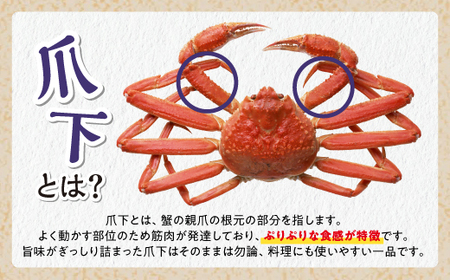 訳あり ズワイガニ 爪下肉 500g_I009-1318