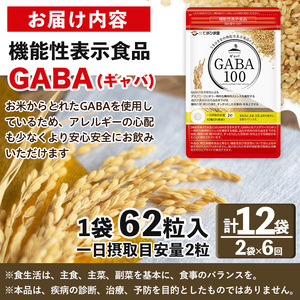 No.1286-B ＜定期便・全6回(隔月)＞GABA100(1袋 62粒入・2袋×6回 計12袋) 鹿児島 日置市 健康食品 機能性表示食品 サプリ 栄養バランス 食生活 安心安全 デスクワーク ス