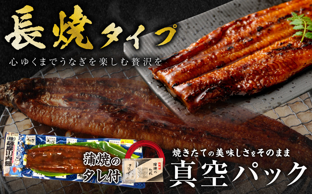 鹿児島県産 うなぎ蒲焼 約170g×3尾