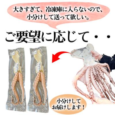 ふるさと納税 南知多町 【南知多の漁師町から直送】天然真蛸の天日干し 300g(酒の肴・タコ飯最適)(無添加) |  | 02