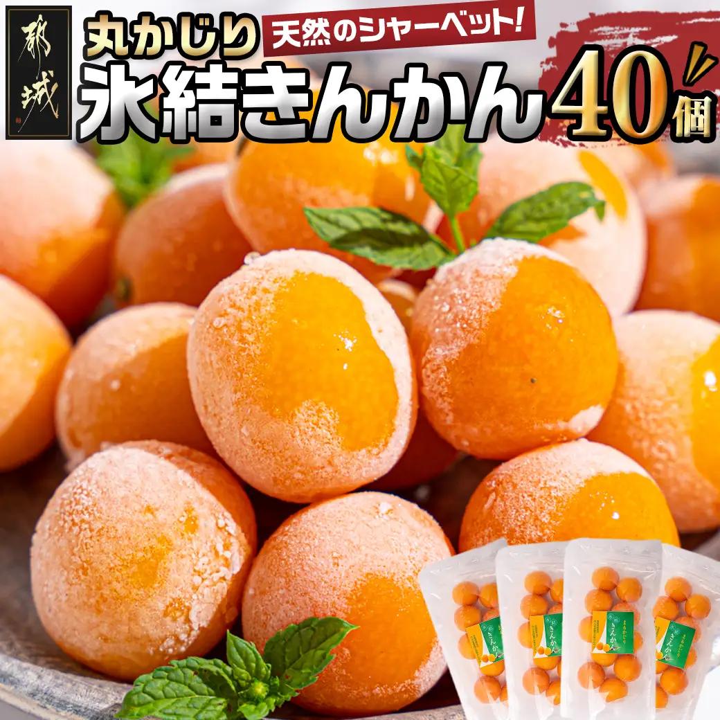 天然のシャーベット! 丸かじり氷結きんかん〔AA-B502〕_(都城市) 都城産 完熟きんかん きんかん 冷凍きんかん 急速冷凍