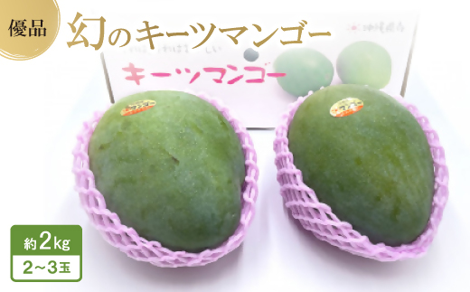 【2027年8月中旬から順次発送・贈答用】幻のキーツマンゴー約2kg(2玉～3玉)【1546414】