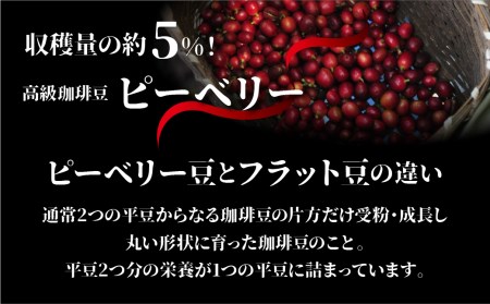 コーヒー 珈琲豆 豆 内容量 400g おまかせピーベリーコーヒー ピーベリー 珈琲豆 コーヒー豆 ブレンドコーヒー [HL017]