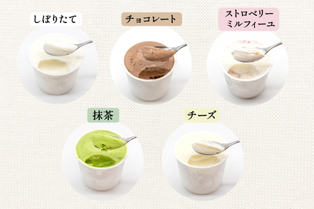 はちみつ & アイス 百花蜜 450g × 1本 牧場直送アイス 120ml×5種 計5個