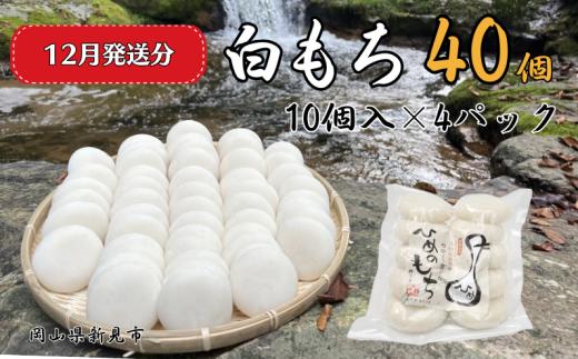 【2025年12月発送】白もち 40個 （10個入500g×4パック）ヒメノモチ100％使用