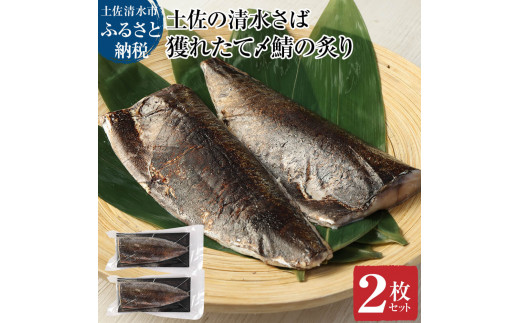 獲れたて土佐の清水さば 炙り〆鯖2枚セット（ブランドゴマサバ・1枚あたり約170g～210g） フィレ 寿司 切り身 骨なし あぶり おつまみ さば サバ 鯖 魚 魚介類 海鮮 高知県 土佐清水市【R00279】