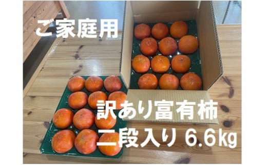 【先行受付】【 数量限定 】精華園 の 家庭用 訳あり 富有柿（18個～28個）約6.6kg  | M18S36