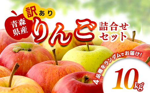 【特に訳あり】 藤崎町産 りんご 約10kg 【ふじさき季の会】 青森りんご リンゴ 林檎 アップル ふじ発祥の地 おすすめ 東北 青森県 藤崎町 F41-0129