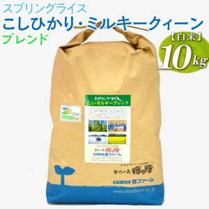 スプリングライス こしひかり・ミルキークィーン ブレンド (白米)10kg コシヒカリ ※着日指定不可 | 米 こめ コメ ご飯 白米 単一米 国産 茨城県産 _BI28