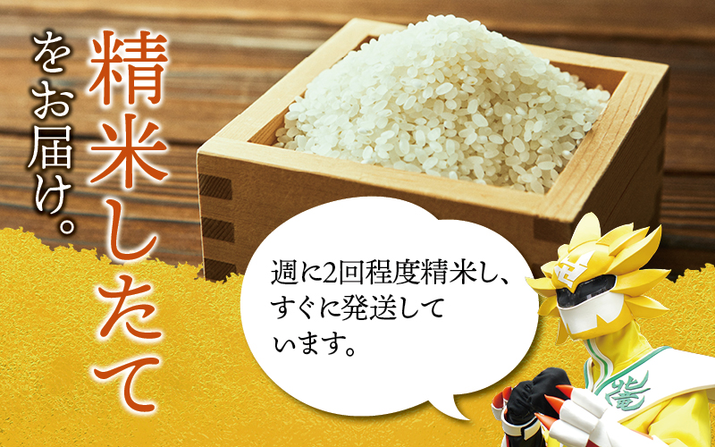 令和7年産 新米 ななつぼし 10kg大容量 【sun400-nana-r10-R7B】