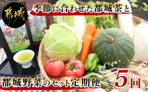 
季節に合わせた都城茶と都城野菜のセット定期便(5回)_T40（5）-3701_(都城市) 都城茶 深蒸し 定期便 秋冬野菜 春夏野菜 ティーパック 粉末煎茶
